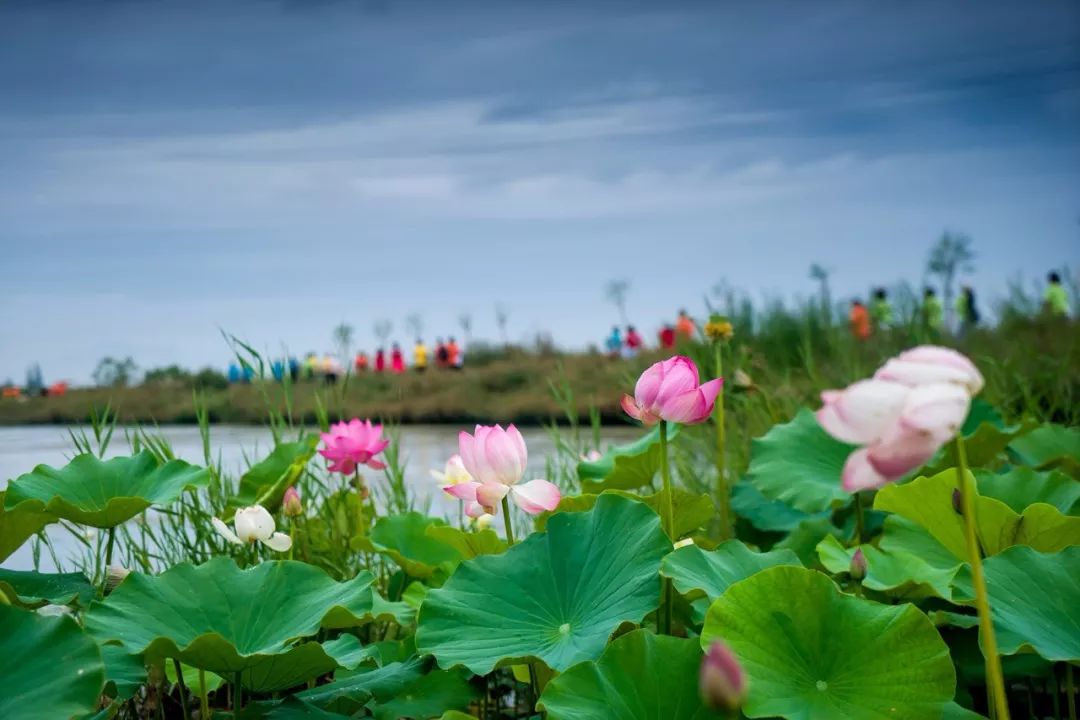 张掖的由来,什么是张掖