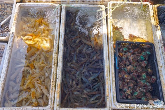 鍐榫欏彛鏃呮父鏀荤暐,鑳朵笢榫欏彛鏃呮父鏀荤暐