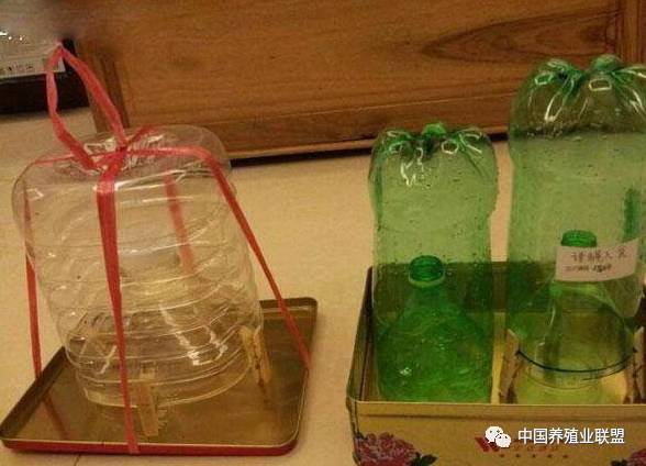 养殖场苍蝇消灭神器,养殖场高效除苍蝇