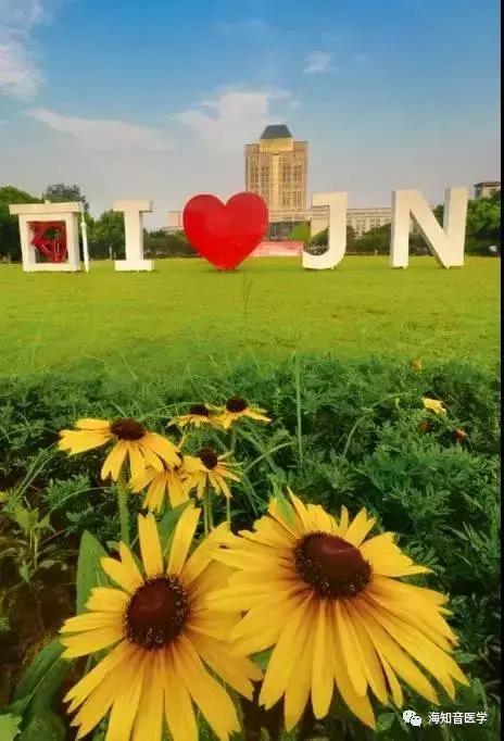 醉美中国——江苏