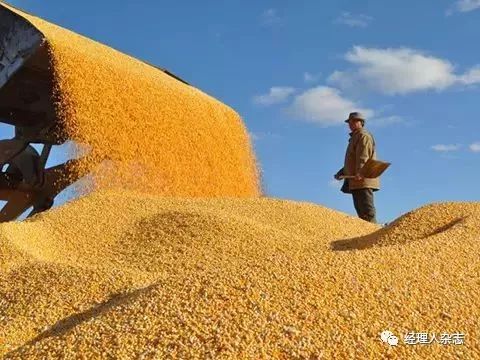 垄断全球粮食的四大粮商,四大粮食巨头与中国较量