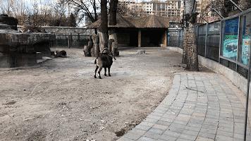 手机镜头，原来也可以很时尚