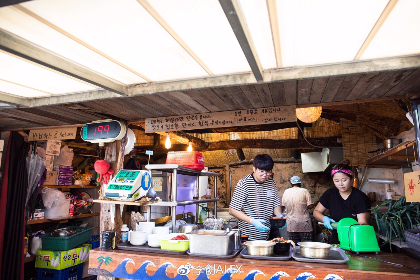 济州岛即将上演的童话世界,去济州岛旅行的感受