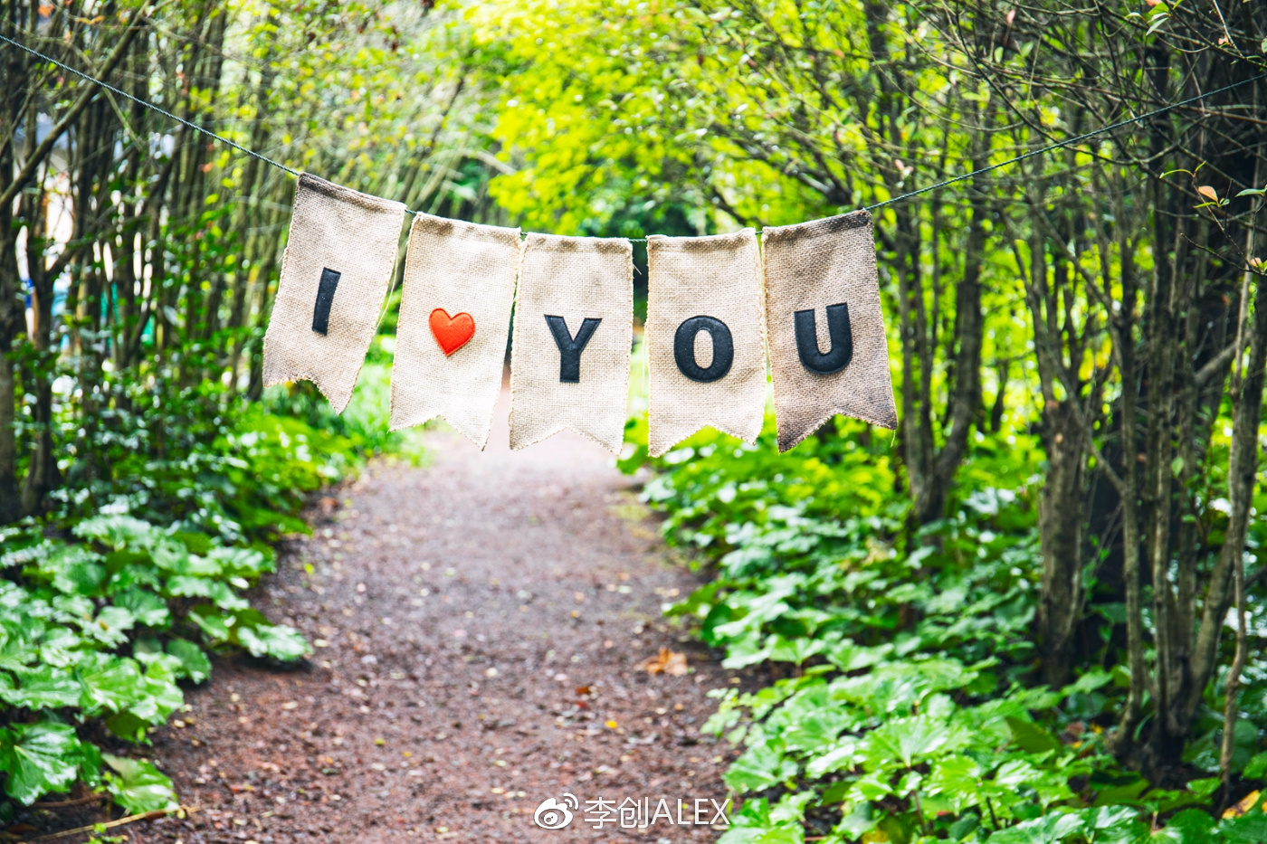 济州岛即将上演的童话世界,去济州岛旅行的感受