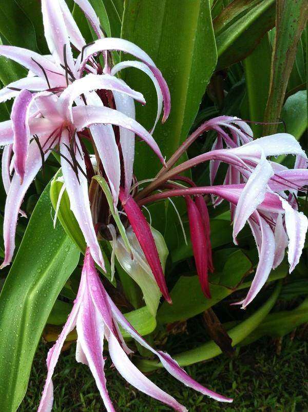 三亚三日游带孩子攻略,三姐妹游三亚