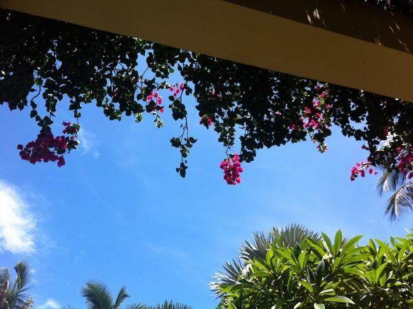 三亚三日游带孩子攻略,三姐妹游三亚