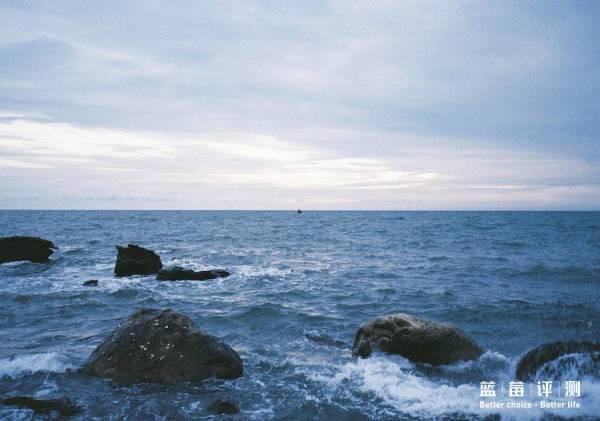 蓝莓评测美国蓝莓,蓝莓评测