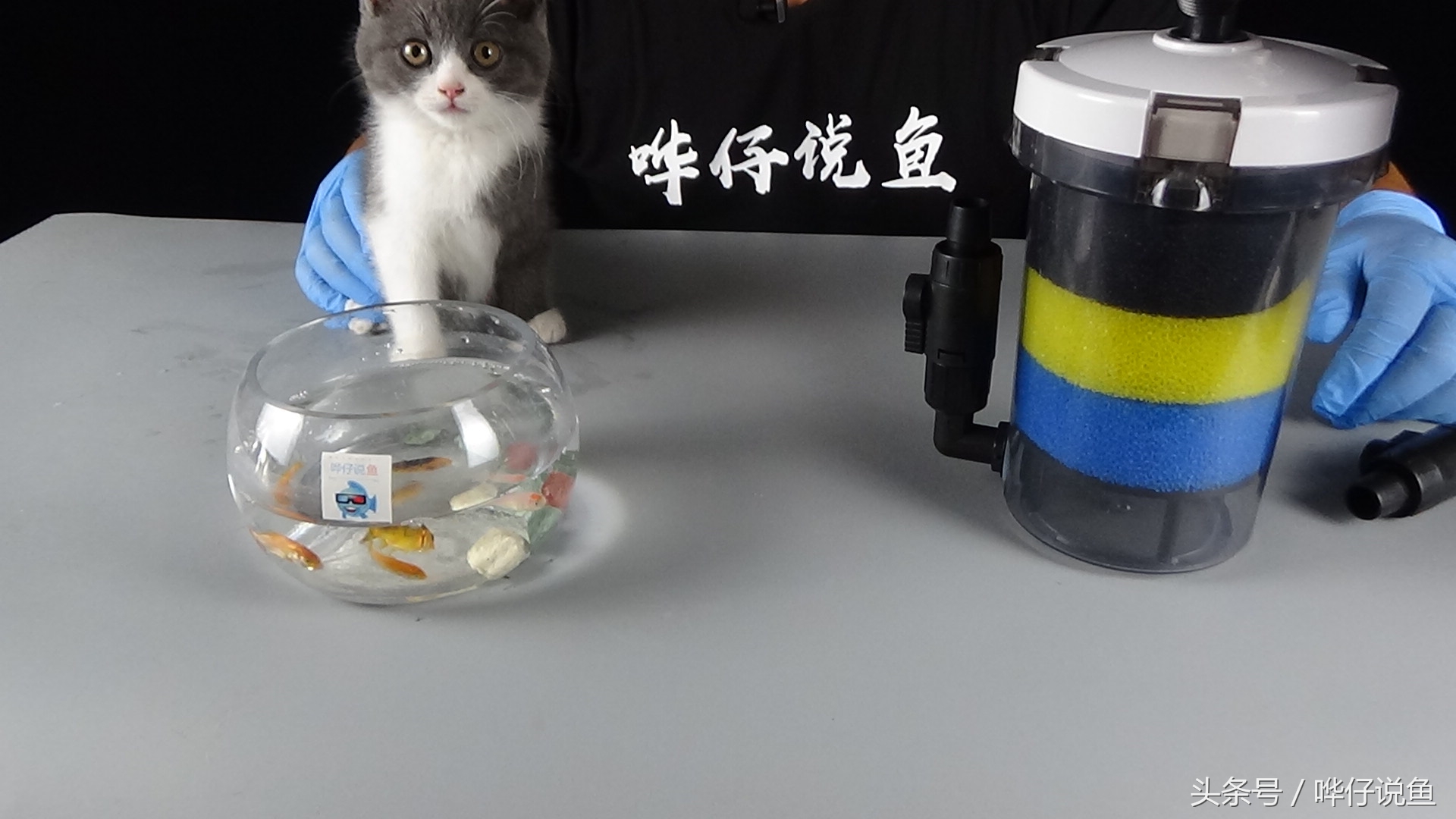 观赏鱼鱼缸过滤最好的办法,鱼缸内置过滤器适合养什么鱼