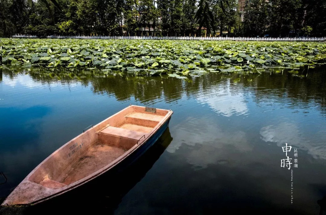 云南奇葩,云南奇葩视频