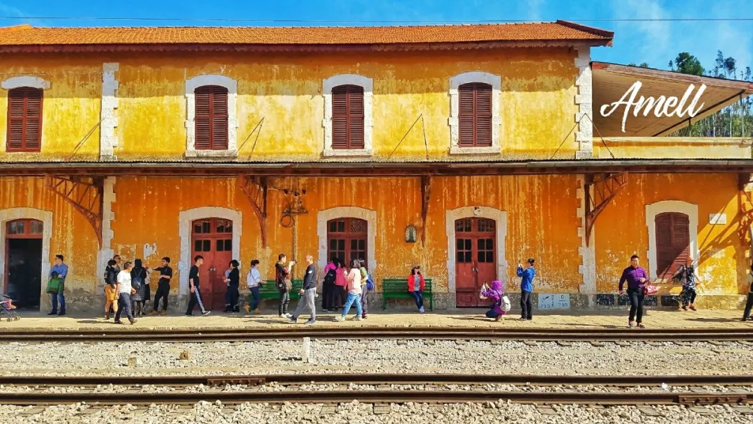 云南奇葩,云南奇葩视频