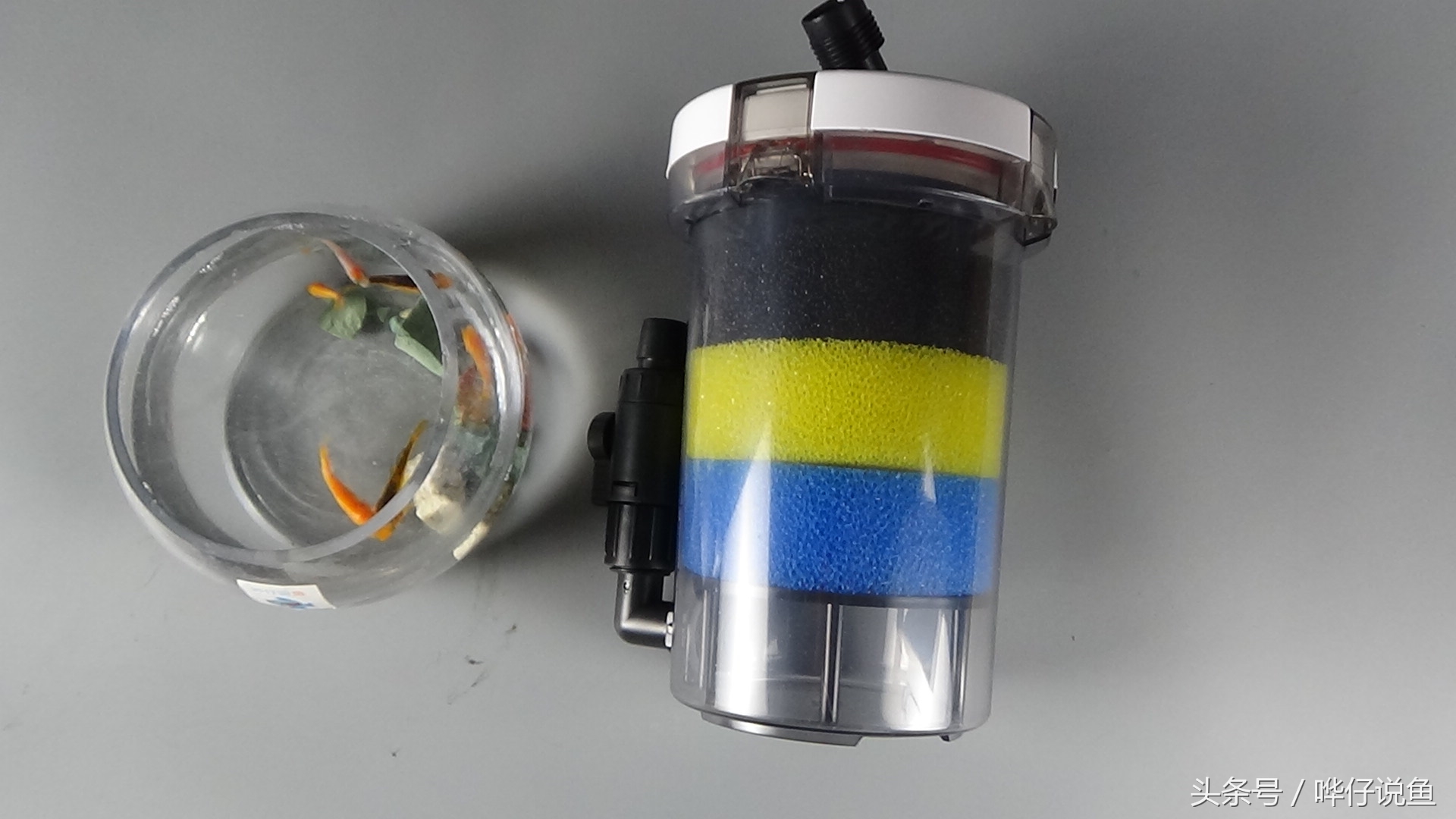 观赏鱼鱼缸过滤最好的办法,鱼缸内置过滤器适合养什么鱼