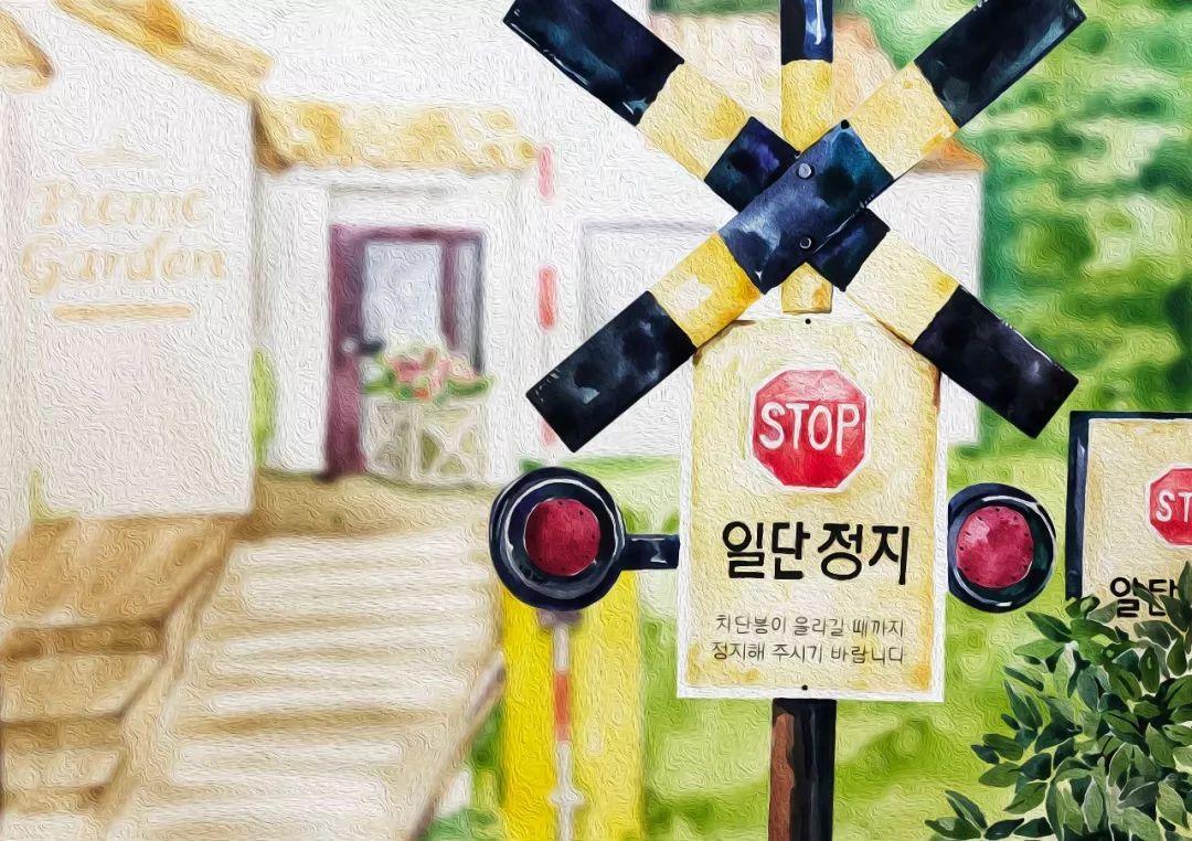 济州岛出游攻略视频大全,济州岛旅行避坑攻略最新