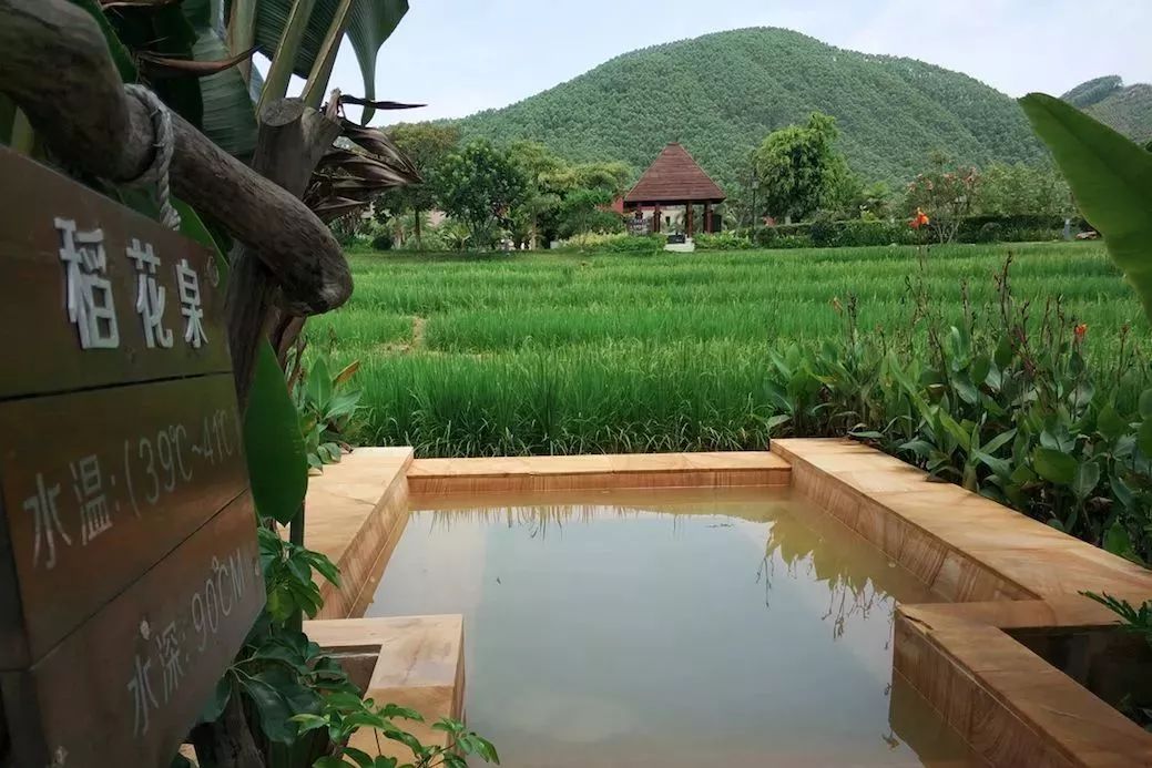 美哭了藏在小渔村里的宝藏民宿,美哭了广东最美自驾