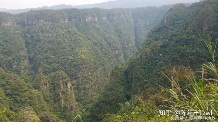 闲扯│毕业后的我来谈谈对于“资源”的看法