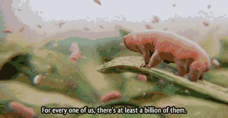 被子床单多长时间换一次避免螨虫,床单睡衣多久换一次