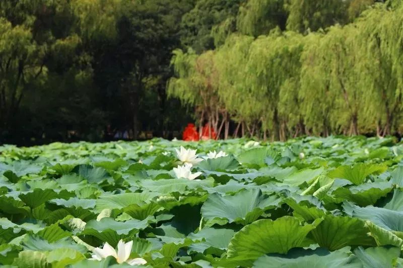 终于等到你的另一种表达,终于等到你内在的含义