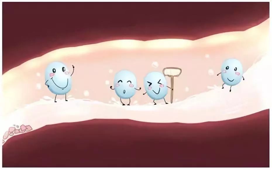 免疫治疗的肠胃反应如何处理,肠道微生物对免疫的影响