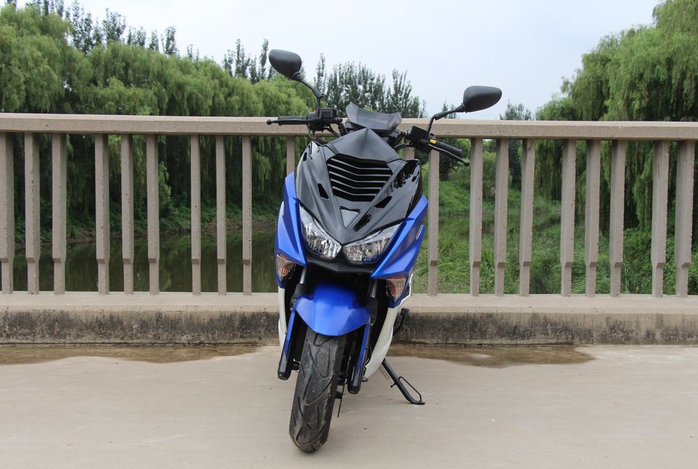 高颜值蚂蚱,漂亮巨型蚂蚱