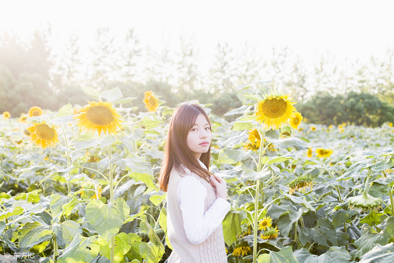 七年级英语阅读理解100篇带翻译,英语阅读理解的技巧和方法中学