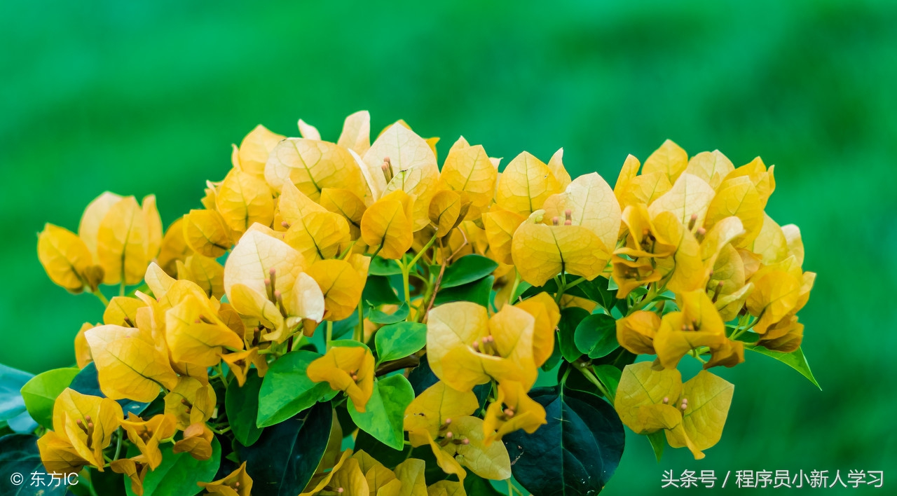 nginx与tomcat部署web项目需注意什么,nginx和tomcat联合配置