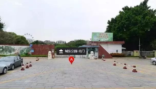 省运会开幕式最新消息,省运会开幕式观众