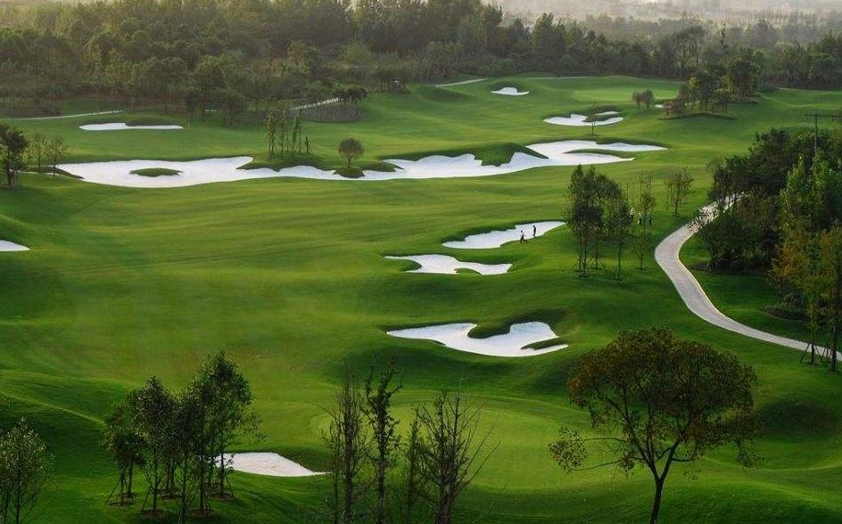 成都的公共体育馆免费开放有哪些,成都哪些体育场馆免费开放