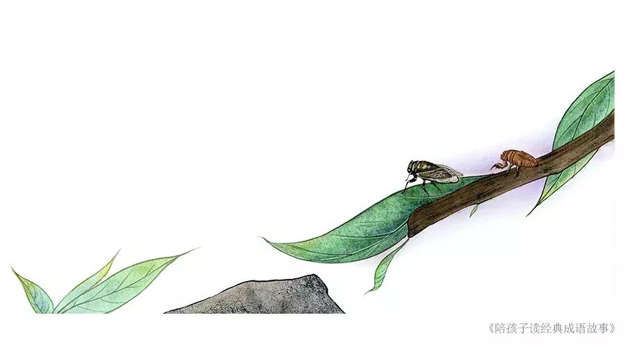 成语有春天有夏天,成语有山清水秀鸟语花香