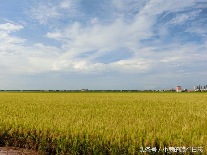 马来西亚天空之镜攻略,马来西亚天空之镜雪兰莪玩法攻略