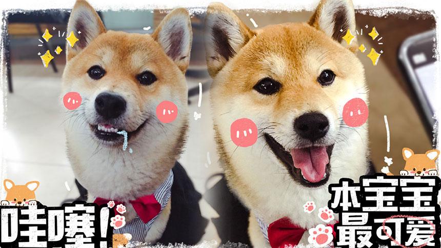 给女朋友的七夕礼物口红推荐,七夕情人节礼物最佳口红