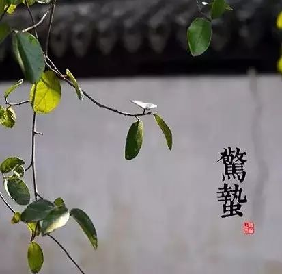 农事的儿歌大全,农事歌大全