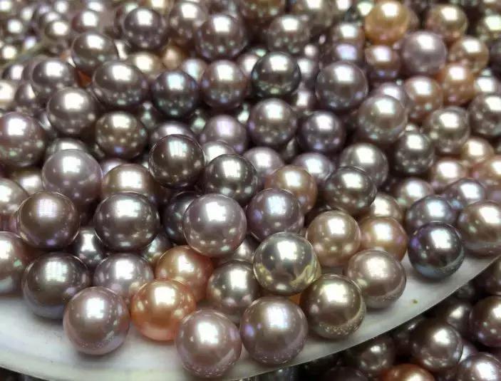 珍珠基础问答,小火说电影全集