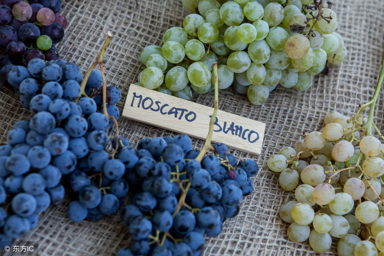 红酒moscato,moscatoasti白葡萄酒