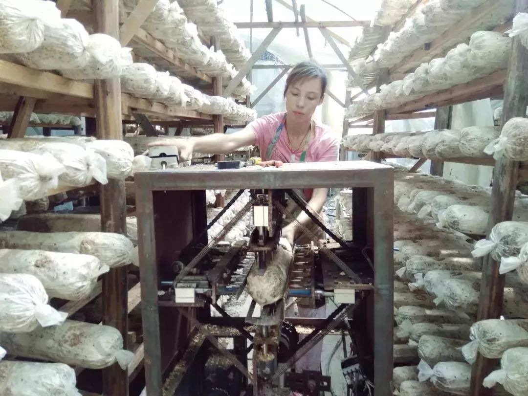 看过来！带你走一走将乐的这些返乡青年创业基地~｜新时代新作为新篇章