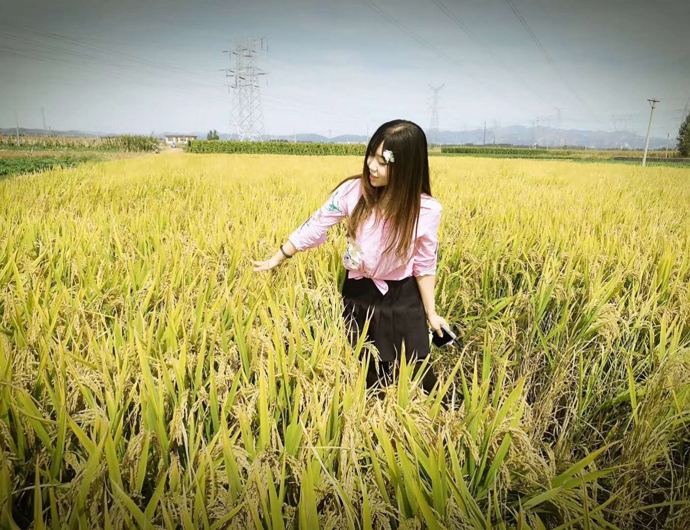 因足球结缘,天下有情人终成眷属,足球是圆的!