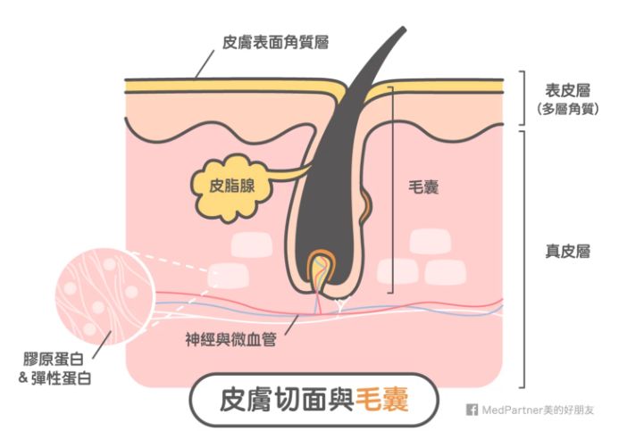 油皮控油舒缓修复产品推荐,女生必备保湿控油神器