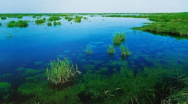只为美食而堕落,为美食而堕落