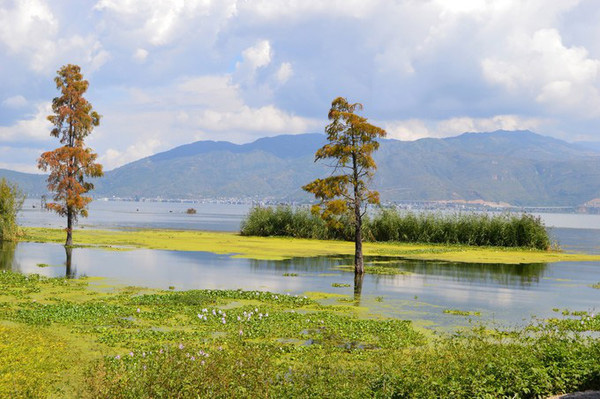 大理适合青少年玩的地方,大理好耍的推荐