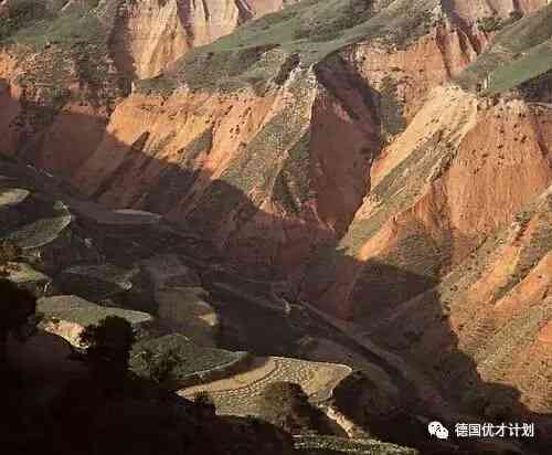 小崔揭露各个行业秘密的视频,小崔泄露家属信息