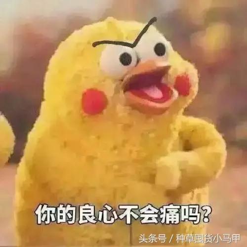 海淘货到底是不是正品,警惕劣质货品