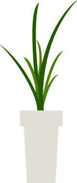 鸭鹅病最新治疗方法,鸭鹅最怕什么病