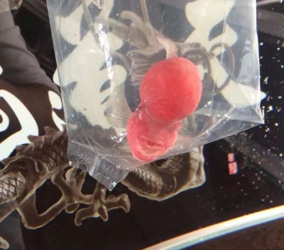 冲动购物一时爽,冲动购物的感悟