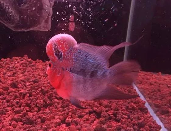 冲动购物一时爽,冲动购物的感悟