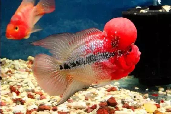 冲动购物一时爽,冲动购物的感悟