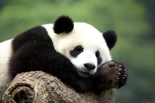 888元现金大奖,888元现金红包活动谁中奖