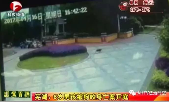 “嘴笼”恒久远,一套永流传!出门前给你家狗子戴上才是真的爱啊!