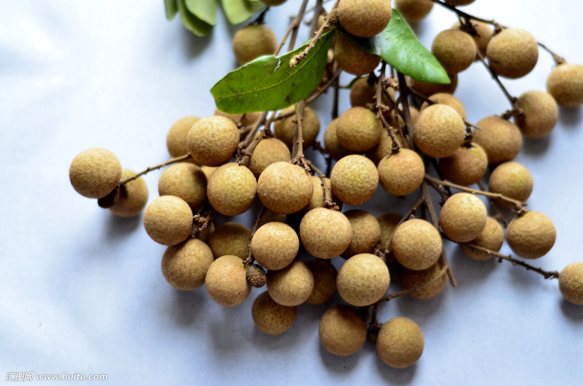 夏季好养生第23讲:正值龙眼季,如何大饱口福又养生