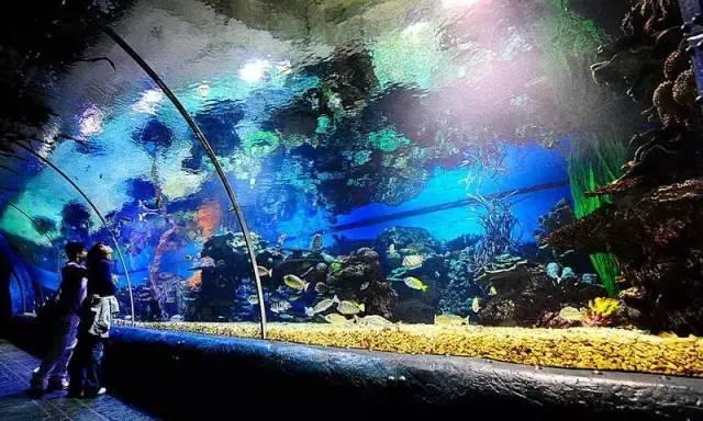 我国内地212个5a景区全在这里,带你看遍全中国的5a景区