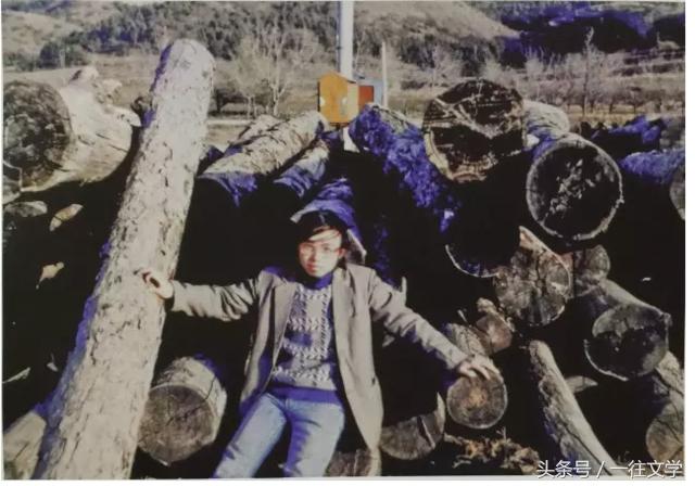 浅谈顾城与海子,顾城和海子的经典