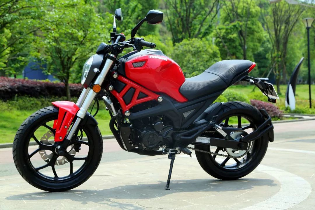 小怪兽长成了大怪兽,银钢大怪兽250测评