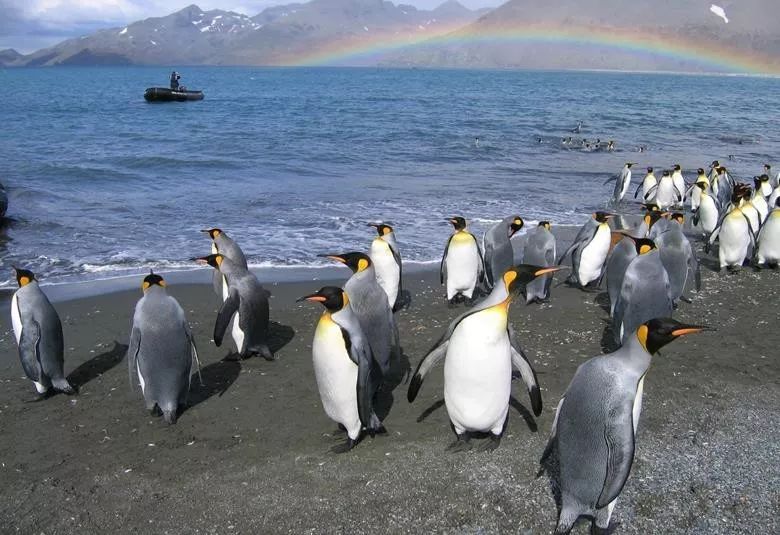 宜信财富有什么服务,宜信财富小黑卡条件